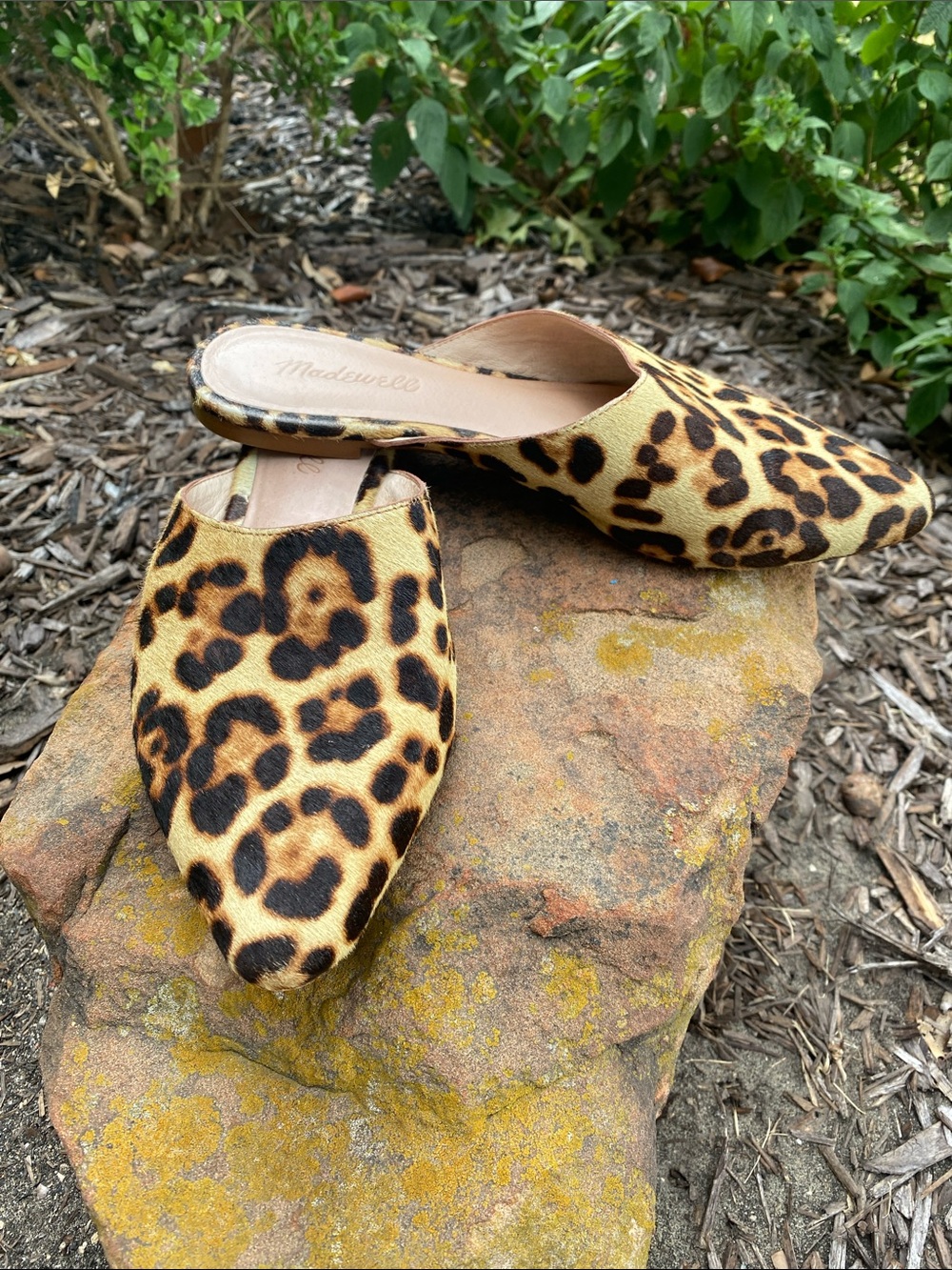 Madewell The Remi Mule in Leopard Calf Hair Size 8 Flats